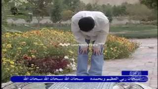 آموزش نماز ظهر  Noon Prayer Training [upl. by Ellerihs]