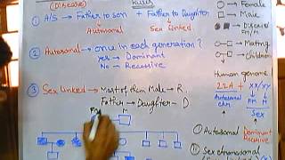 3 Pedigree analysis  autosomal dominant [upl. by Marabel475]