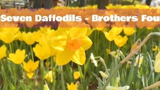 Seven Daffodils  Brothers Four [upl. by Gaspar]