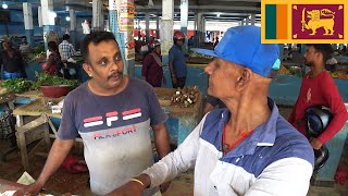 Fruits Vegetables Fish Market Batticaloa Sri Lanka [upl. by Krell324]