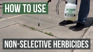 How to Use NonSelective Weed Killer [upl. by Lenes]