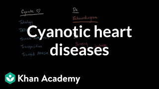 Cyanotic heart diseases  Diagnosis and treatment  NCLEXRN  Khan Academy [upl. by Aitetel]