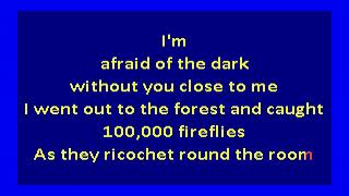 Magnetic Fields  100000 Fireflies karaoke [upl. by Chong]