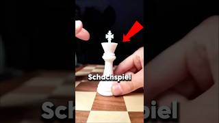 Hier ist das beste Schach der Welt 😱 [upl. by Keifer]