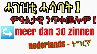 Nederlands  Tigrigna Hier zijn belangrijke zinnen om makkelijk te kunnen communiceren  ሓኤ32 [upl. by Drawde]