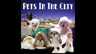 PetLifeRadiocom  Pets In The City  Episode 37 Tinsley Mortimer Shares Fashion and Compassion w [upl. by Regnig]