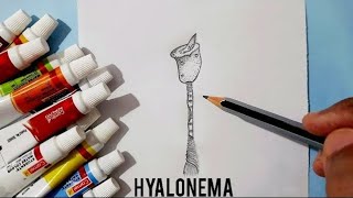 How to draw a Hyalonema easy way step by stepvideo [upl. by Henebry]