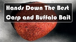 Best Carp and Buffalo Bait Recipe [upl. by Stacee]