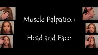 Muscle Palpation  Head and Face Masseter Temporalis Buccinator Orbicularis Oris Mentalis ASMR [upl. by Desdamona97]