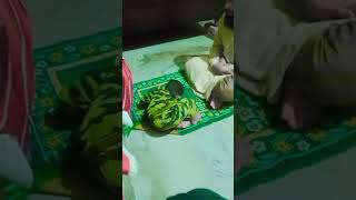 main bi roze rakhunga naatsharif nimaz babyboy prayer sunnah [upl. by Otrebire239]