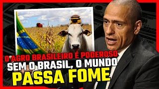 POR QUE O AGRONEGÓCIO BRASILEIRO É TÃO PODEROSO  PROFESSOR HOC [upl. by Hewes]