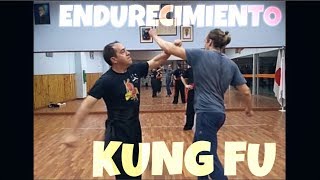 ¿CONOCES ESTOS EJERCICIOS DE ENDURECIMIENTO TRADICIONAL DE KUNG FU [upl. by Barnet350]