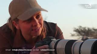 Wildlife Photography in Botswana with Danielle Carstens  October 2025 [upl. by Eirrak]