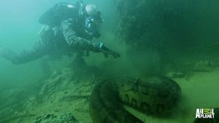 Bone Crusher  How to Catch an Anaconda  River Monsters [upl. by Rogozen713]