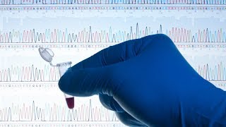 Cosa significa sequenziare il DNA [upl. by Doolittle]