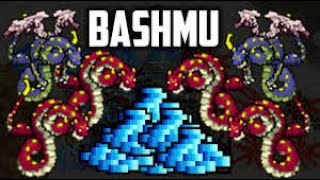 Rp Bashmu 26kk profit 43kkh raw gain [upl. by Orfield]