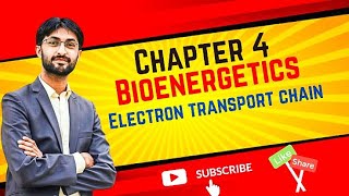 Electron Transport Chain Lecture 6 MDCAT 2024 [upl. by Imhsar]