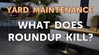 What Does Roundup Kill [upl. by Reltuc]