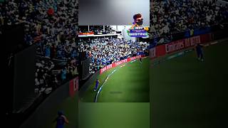 Best Catches in Cricket History 💥 cricket shorts [upl. by Shushan]