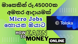 Micro Jobs SinhalaHow To Earn With Toloka website E Money Sinhala [upl. by Namref522]