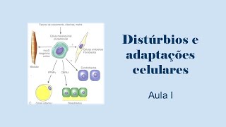 Distúrbios e adaptações celulares  Parte I [upl. by Ardnwahs546]