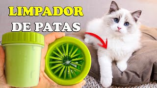 TESTEI 🐾 COPO LIMPA PATAS PET limpador de patas para cães e gatos  Gatil Hauser [upl. by Drews842]