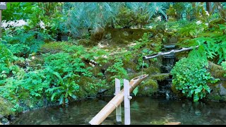 Relaxing Sounds of a Shishiodoshi Japanese Bamboo Water Fountain [upl. by Rahab]