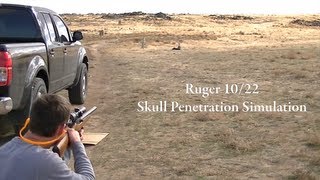 Ruger 1022  Skull Penetration Simulation [upl. by Ardaid]