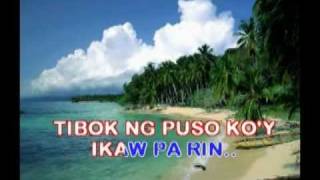 TIBOK NG PUSO  Willy Garte  Karaoke Version [upl. by Onivla]