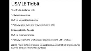 Orotic Aciduria Highly Tested Topic [upl. by Keelia]