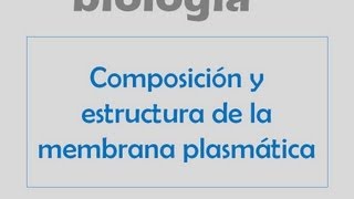 Composición y estructura de la membrana plasmática [upl. by Ynnad]