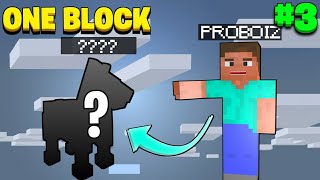 MEET MY NEW FRIEND   ONE BLOCK SURVIVAL SERIES  HINDI GAMEPLAY [upl. by Constance]