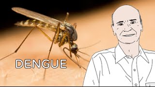 Medidas para evitar a proliferação do mosquito da dengue [upl. by Remled]