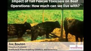 Impact of Tall Fescue Toxicosis on Beef Operations [upl. by Teragram]