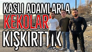 KASLI ADAMLARLA KEKOLARI KIŞKIRTMAK 2   KEKOLARA CEZA VERDİK [upl. by Dami384]