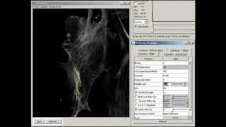 Photometrics Camera Advanced Feature QuantView™ Technology [upl. by Reed]