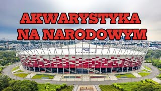 Targi akwarystyczne na stadionie narodowym 3032024 [upl. by Nailij]