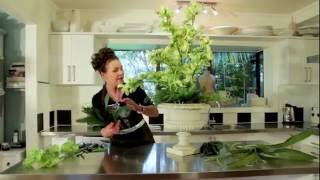 Arranging with Orchids Floristry Tutorial [upl. by Colombi]