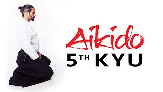 Aikido Techniques for Beginners  5th Kyu Test Requirements [upl. by Chaiken845]