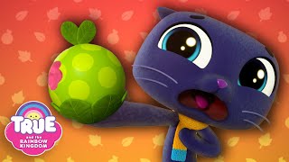 Autumn FULL EPISODES 🍏 Grabbleapple Harvest amp More 🌈 True and the Rainbow Kingdom 🌈 [upl. by Imena]