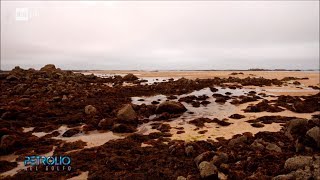 I Campi Flegrei un gigante addormentato  Petrolio 28072017 [upl. by Trillbee]