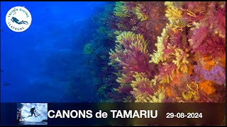 Canons de Tamariu 29082024 [upl. by Lefty]