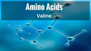 Amino Acids  Valine [upl. by Olympias]