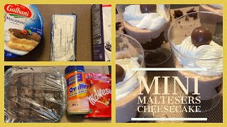 Mini maltesers cheese cake  no bake no cook easy dessert recipe cheesecake maltesers eidspecial [upl. by Renate]