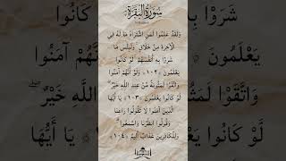 Surah AlBaqarah 102104  Syech Mishary Rashid Alafasy [upl. by Aehtna]