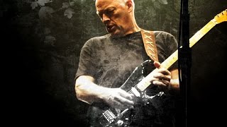 David Gilmour  The Best Guitar Solos [upl. by Hoi]