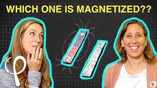 Can you solve the MAGNET RIDDLE ft YouTube CEO Susan Wojcicki [upl. by Viva867]