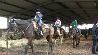 WESTERNREITEN im SPESSART  Reiterhof Sauer  Made by kanukassel [upl. by Faulkner880]