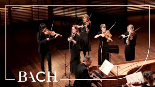 Bach  Orchestral Suite no 3 in D major BWV 1068  Mortensen  Netherlands Bach Society [upl. by Pasol]