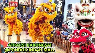 🔴 BARONGSAI TERBARU‼️ Acrobatic Lion Dance 2023 [upl. by Dajma]